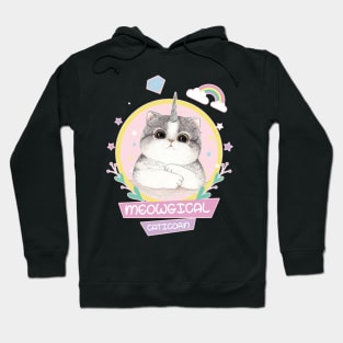 'Meowgical Caticorn Rainbow' Adorable Rainbows Gift Hoodie